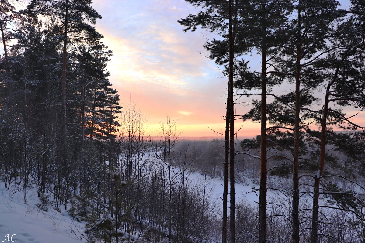 На заре - Любовь Сахарова