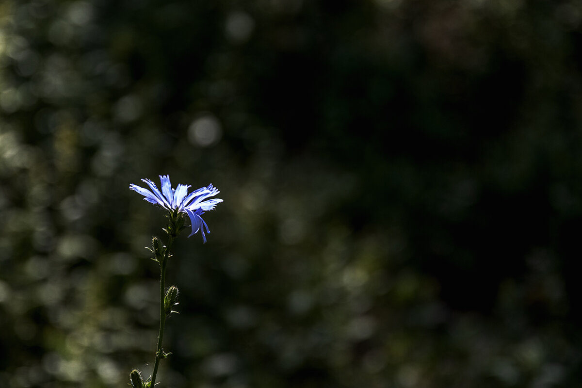 Усть-Каменогорск - Дмитрий 