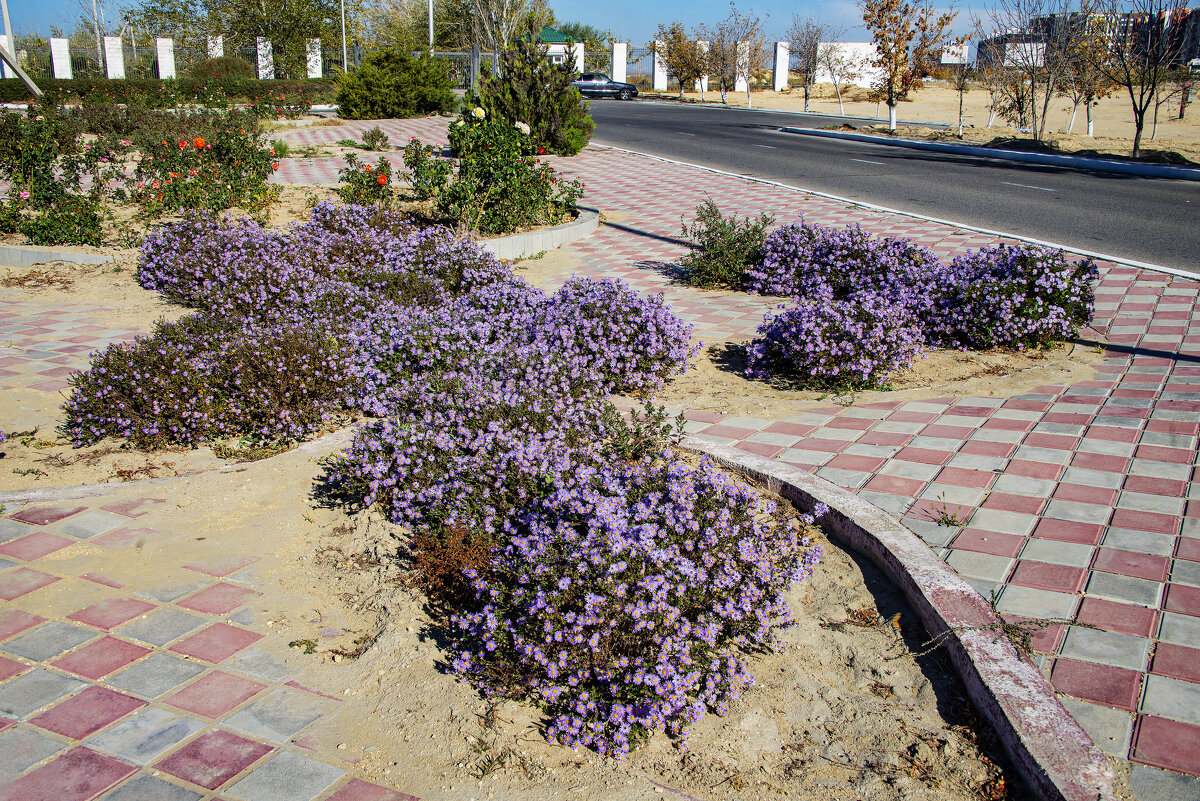 Осенние - Анатолий Чикчирный