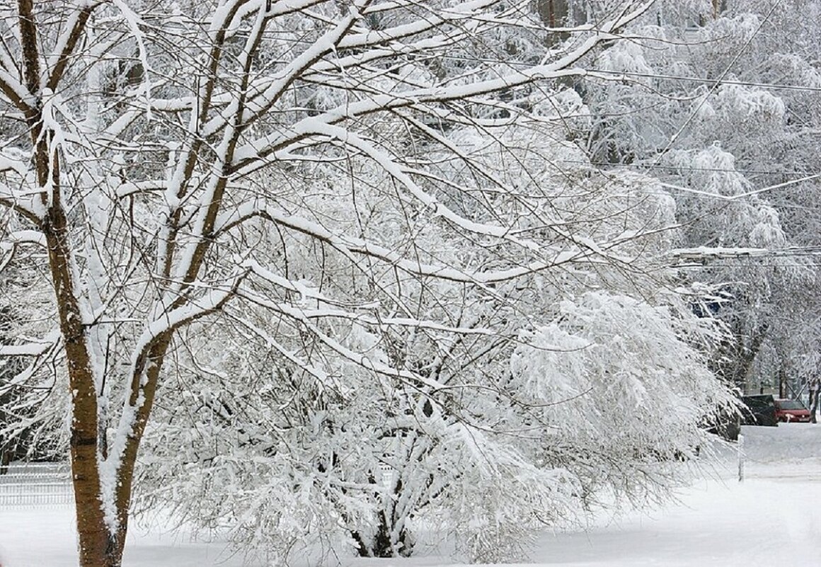 В городском парке - Галина Нестратова