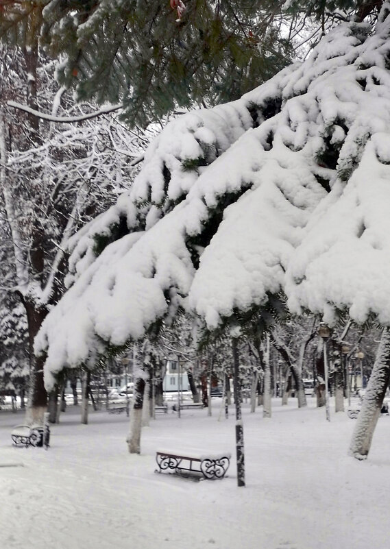 *** - Валентина Береснева