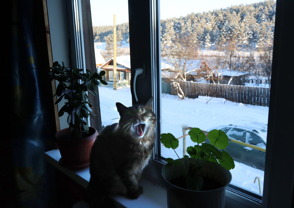 Там холоднооо... - Галина Ильясова