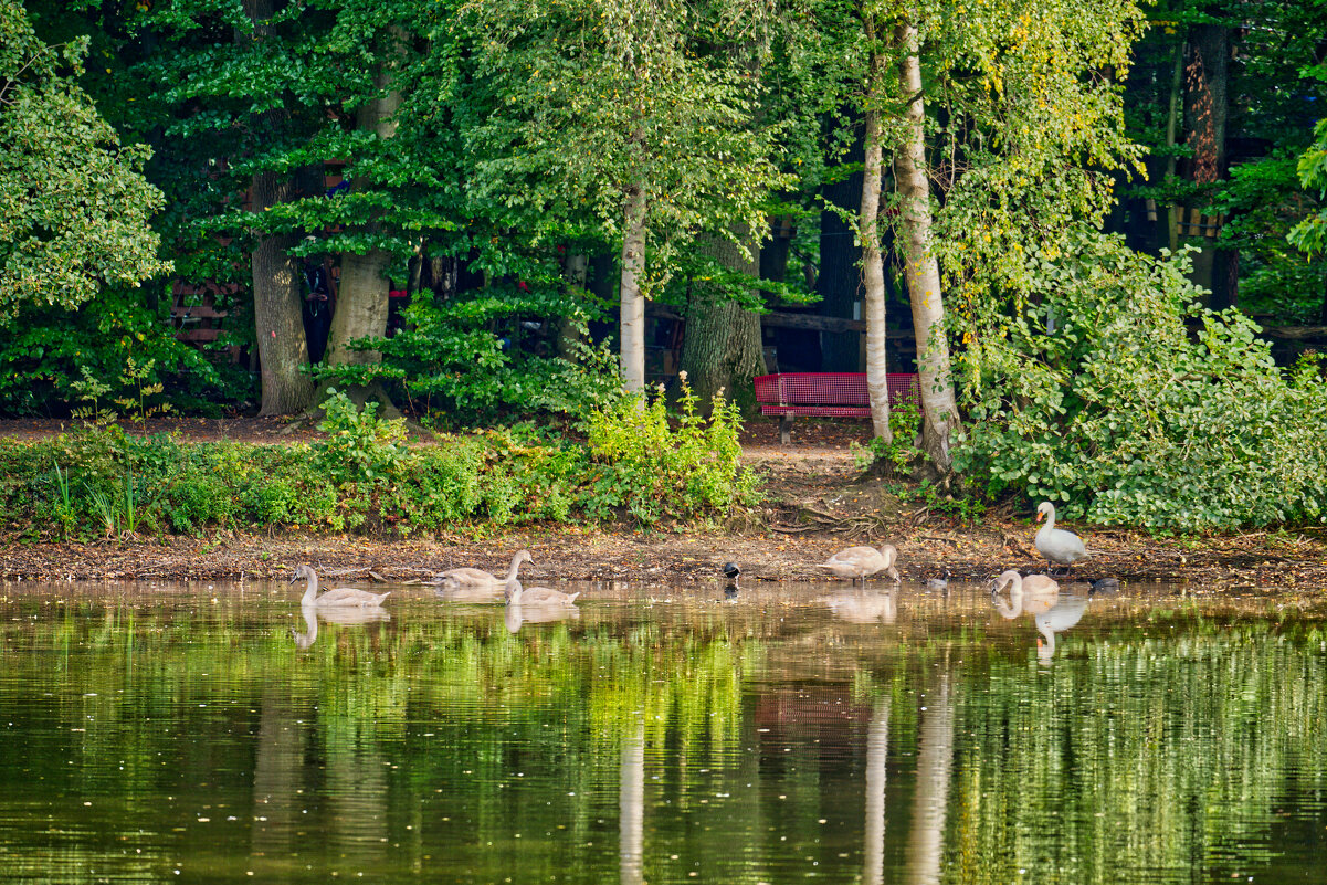 (°-°) - Jakob Dick