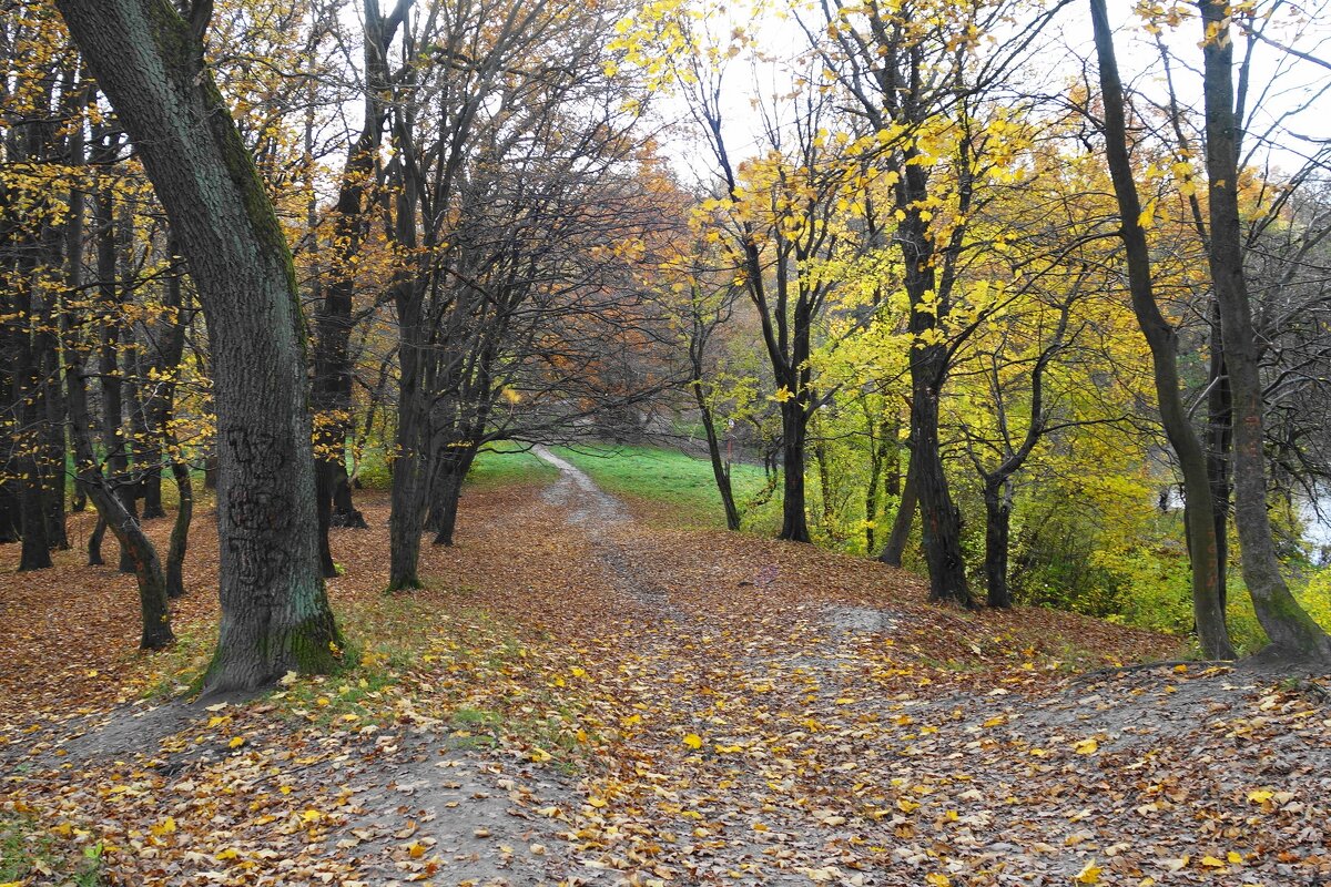 Ашманн парк, Калининград - Рита Симонова