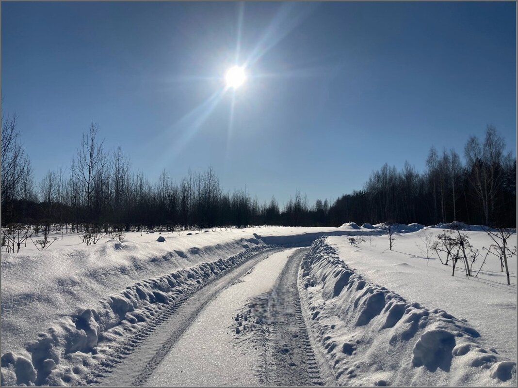 Выглянуло солнышко ... - Валентина Надсон