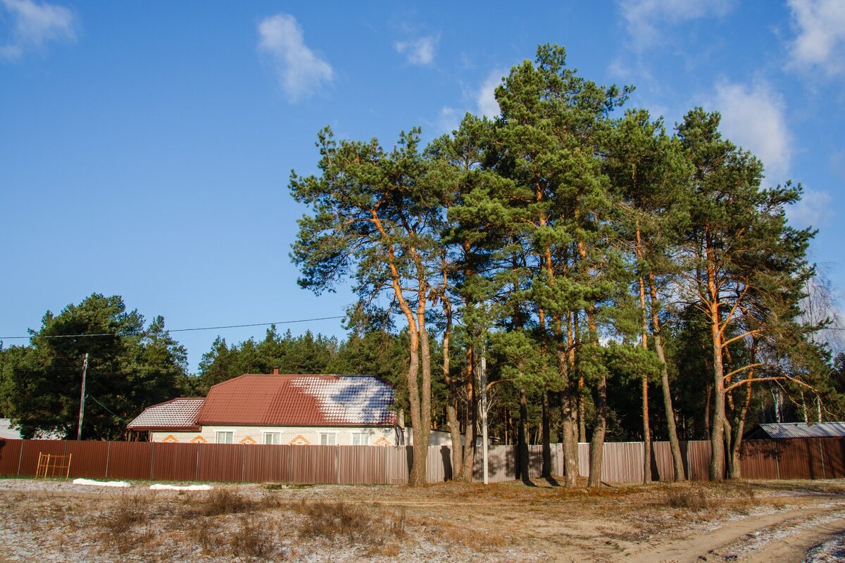 Морозно - Галина Ложечникова