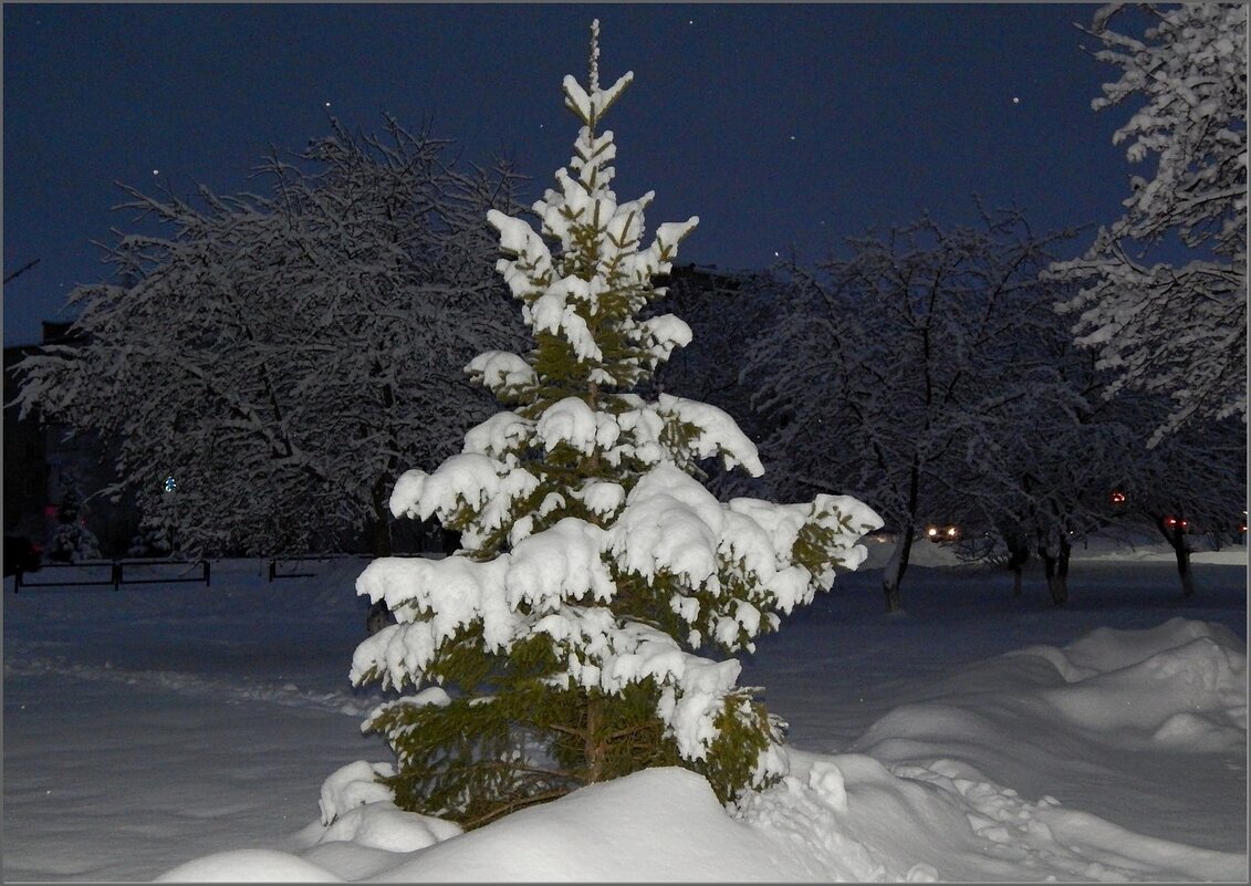 В белой шубке ... - Валентина Надсон