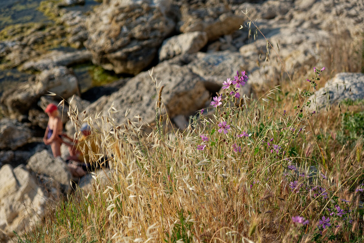 Крымские зарисовки - Александр Гапоненко