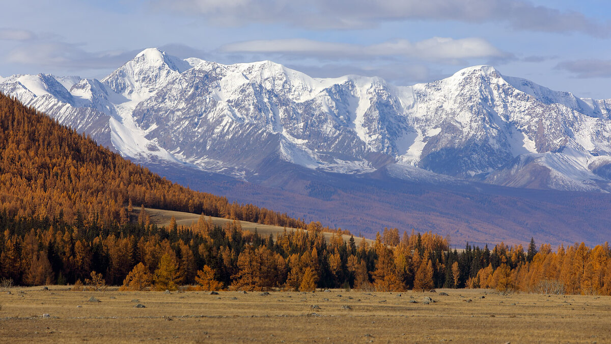 *** - владимир 
