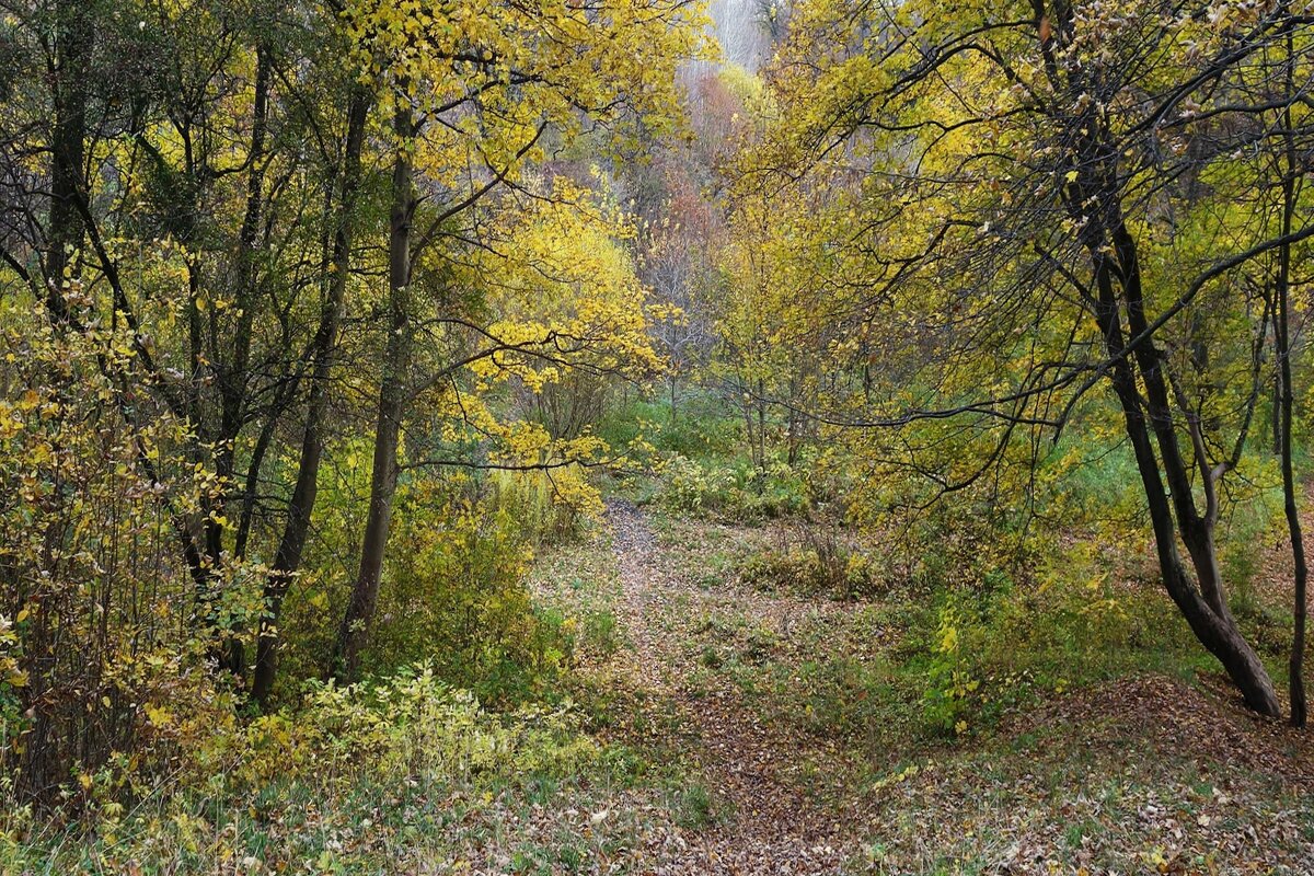 Ашманн парк, Калининград - Рита Симонова
