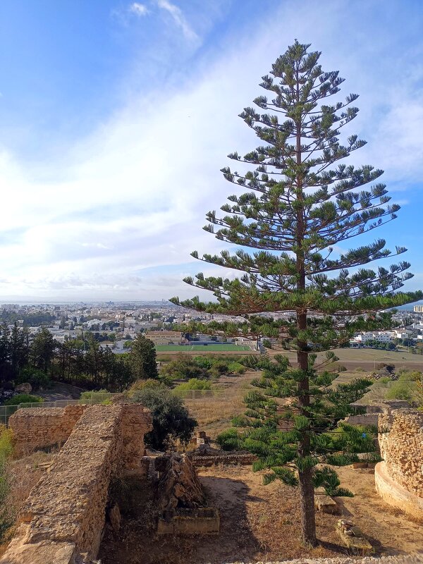 Карфаген, Тунис - Елена 