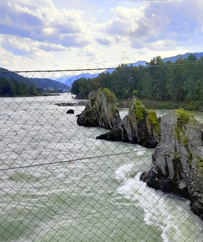 "Зубы дракона " на Катуни . - Мила Бовкун