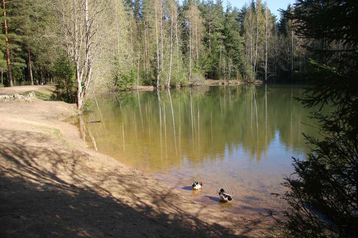 Весна 2025. Май - Наталья Герасимова