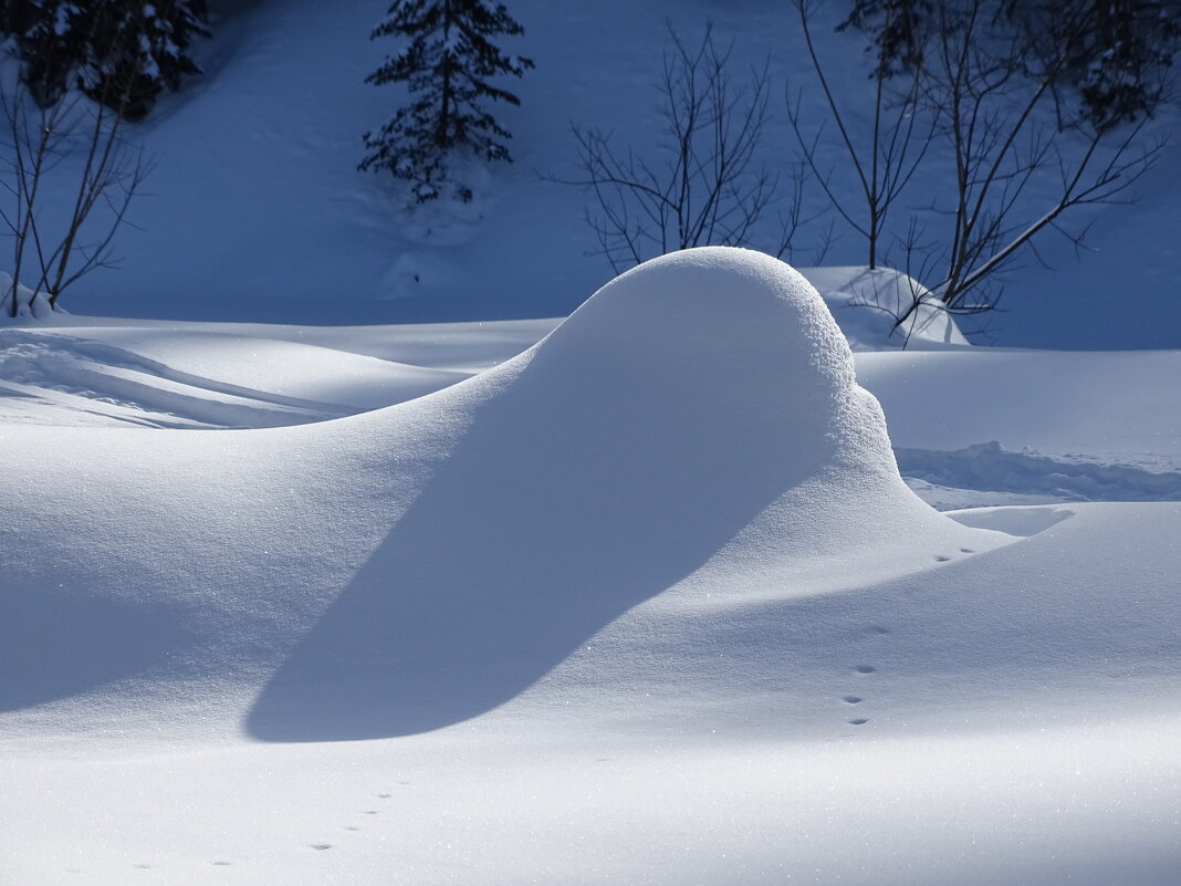 Формы - Павел Трунцев