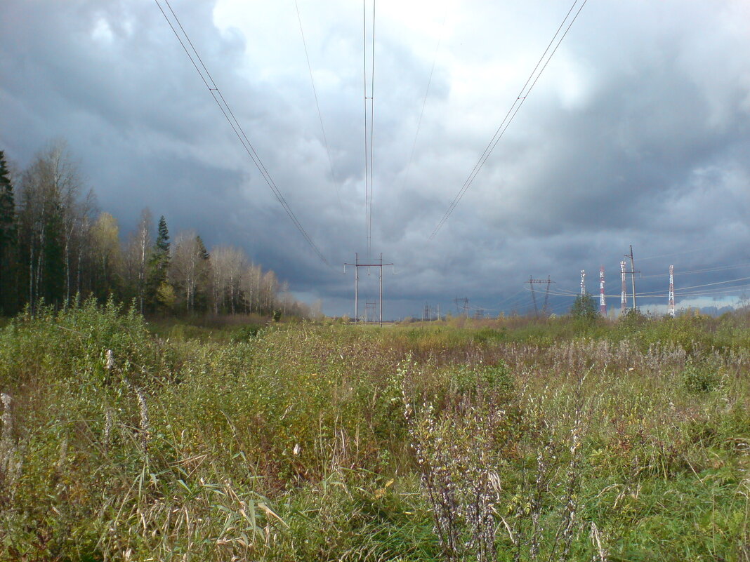 /// - Виктор Никитенко