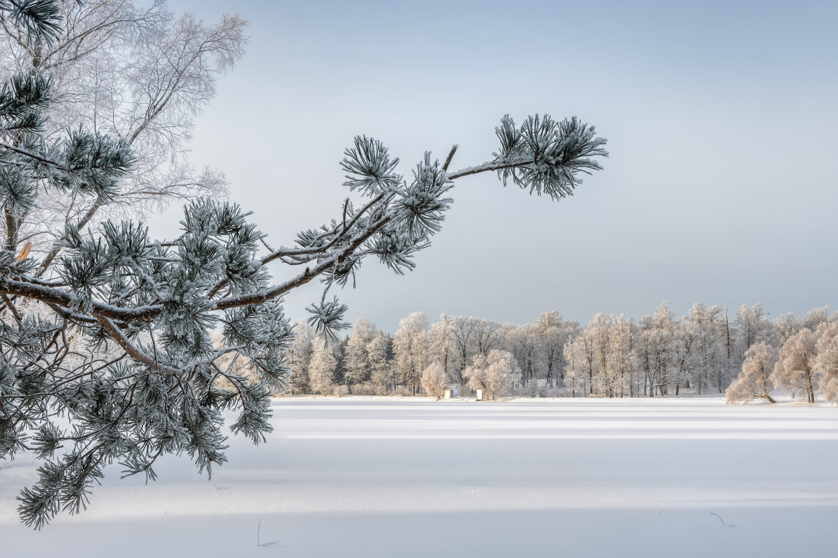 Про Питер - Владимир Колесников