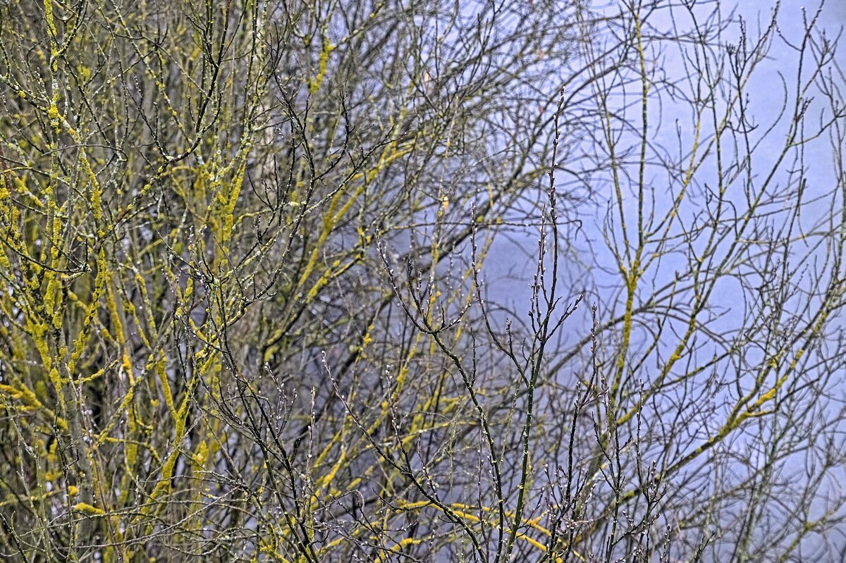 Теплый декабрь - Валерий Иванович