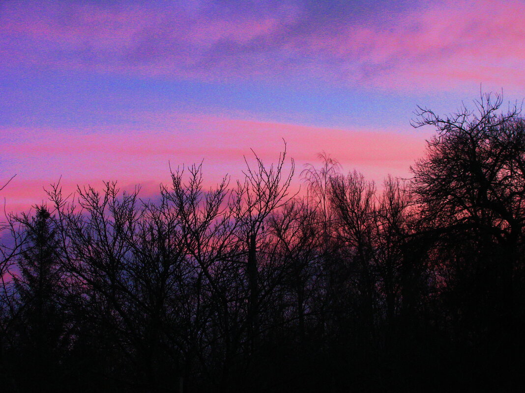 Декабрьский вечер - Людмила Смородинская