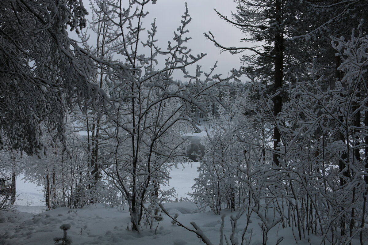 Дни без солнца - Ольга 