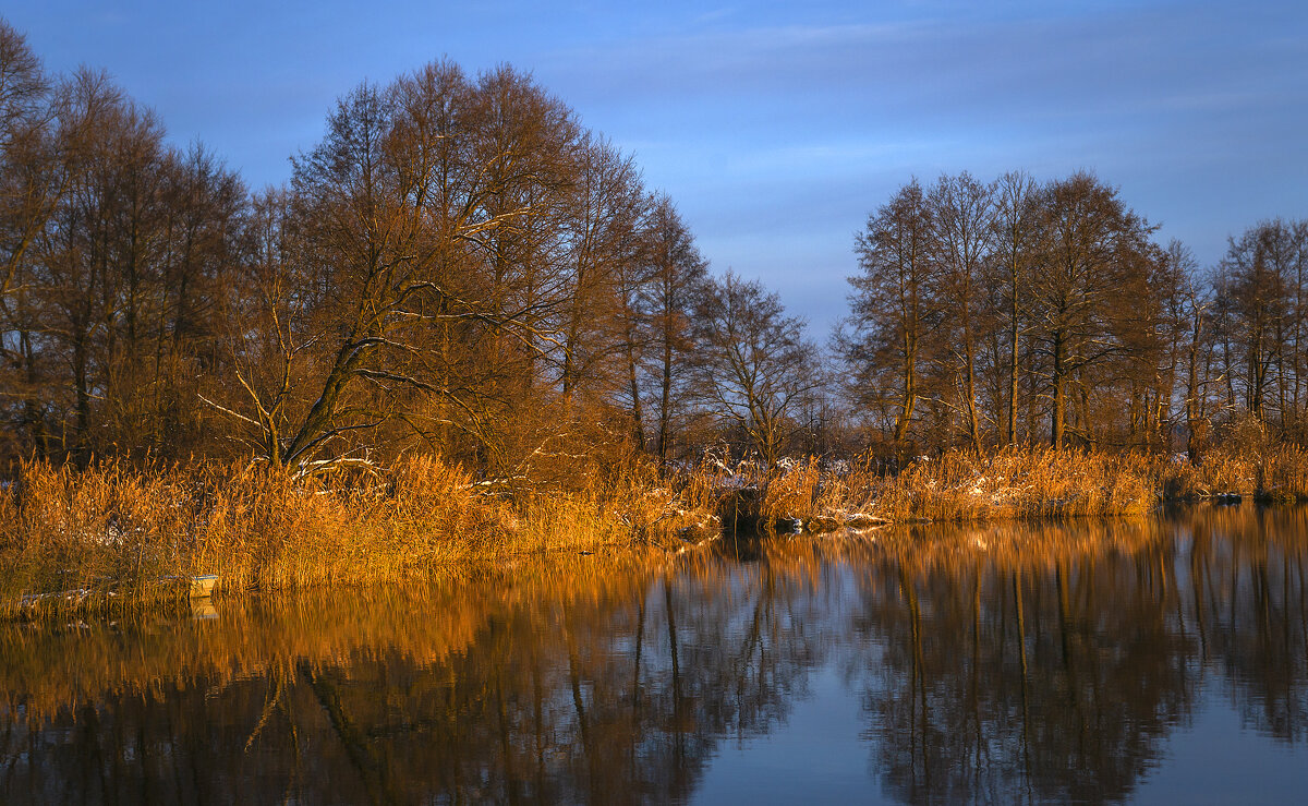 Утро. Берег озера - Сергей Цветков