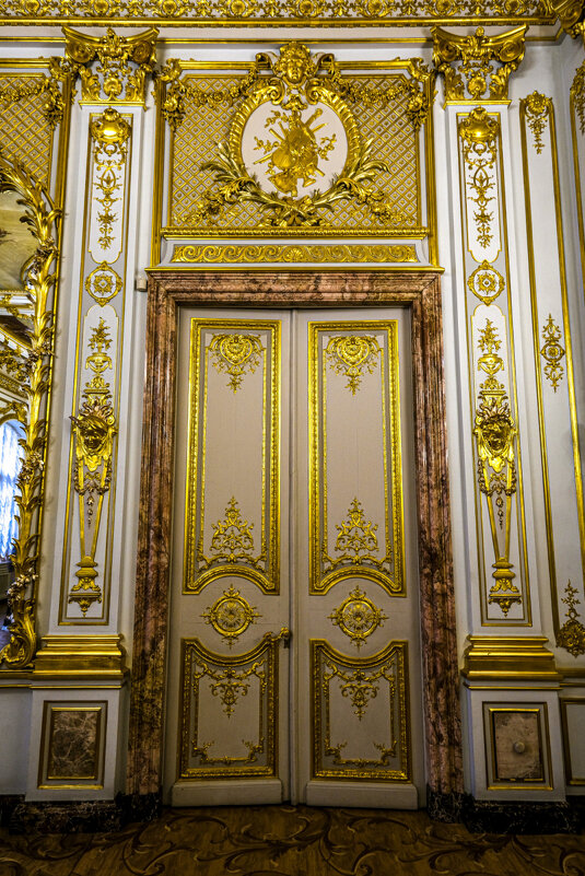 Одна из дверей особняка Половцова (2) - Георгий А