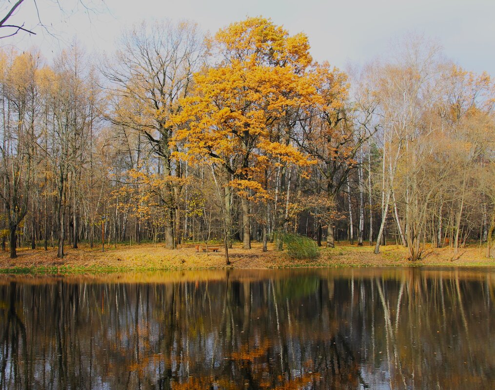 ОСЕННЕЕ ОТРАЖЕНИЕ В ПРУДУ - Валентина 