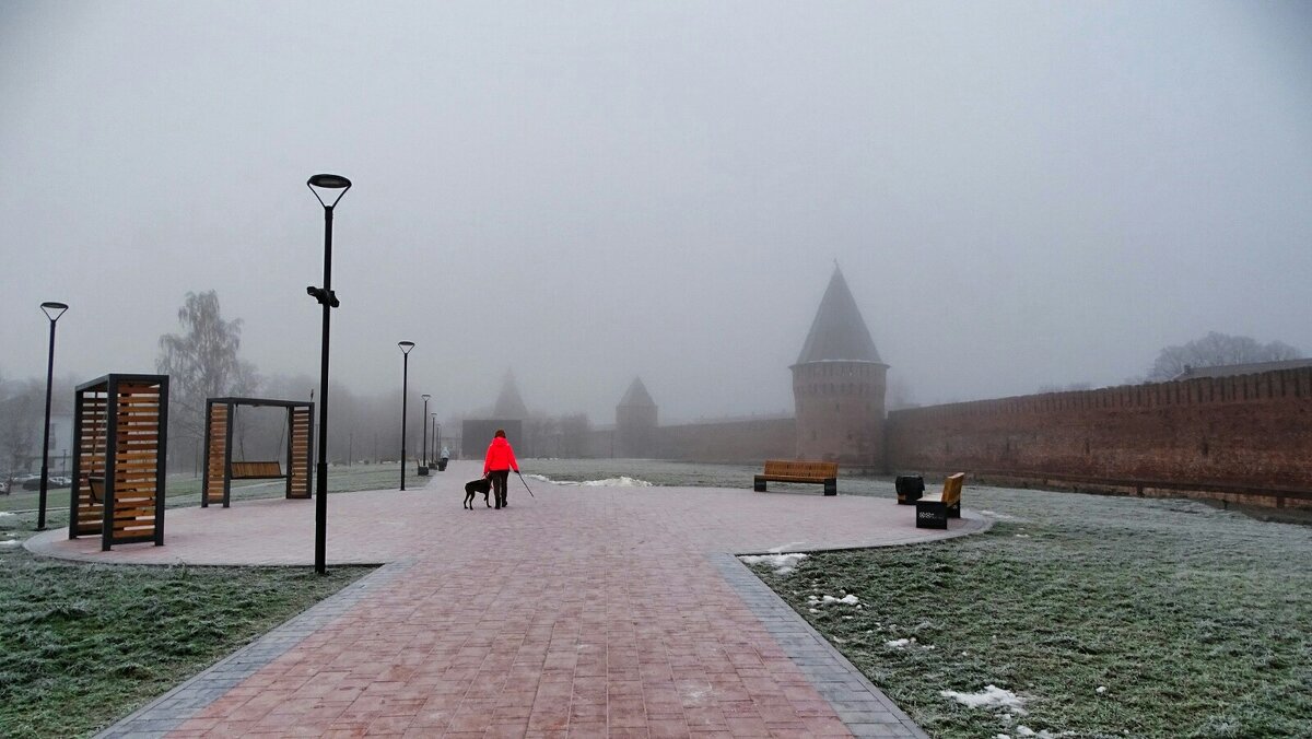 Пасмурный, декабрьский день. - Милешкин Владимир Алексеевич 