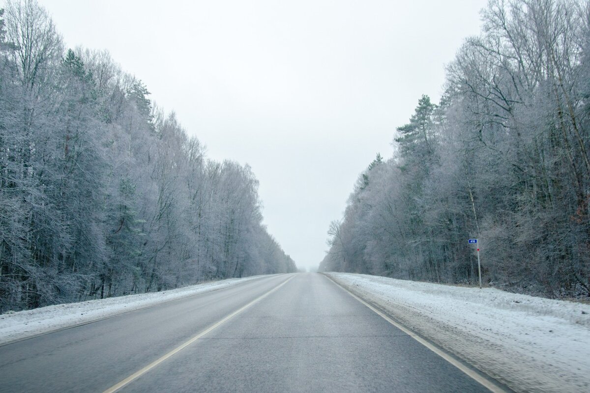 ___ - Галина Ложечникова