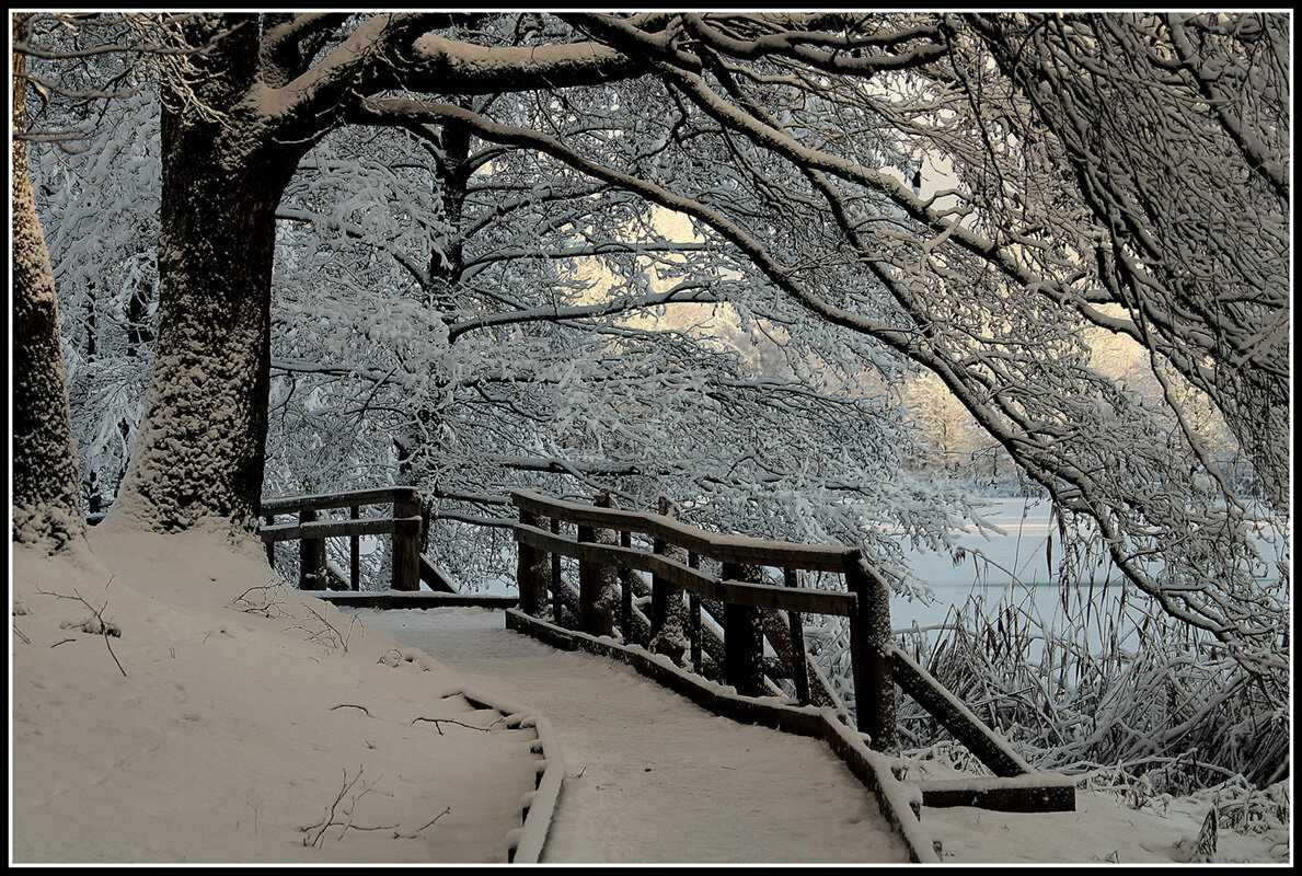 Зимний променад - Aleksandr Gal