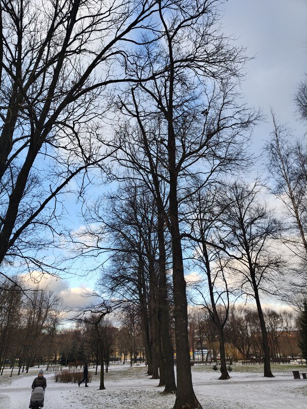 Декабрь - Андрей 