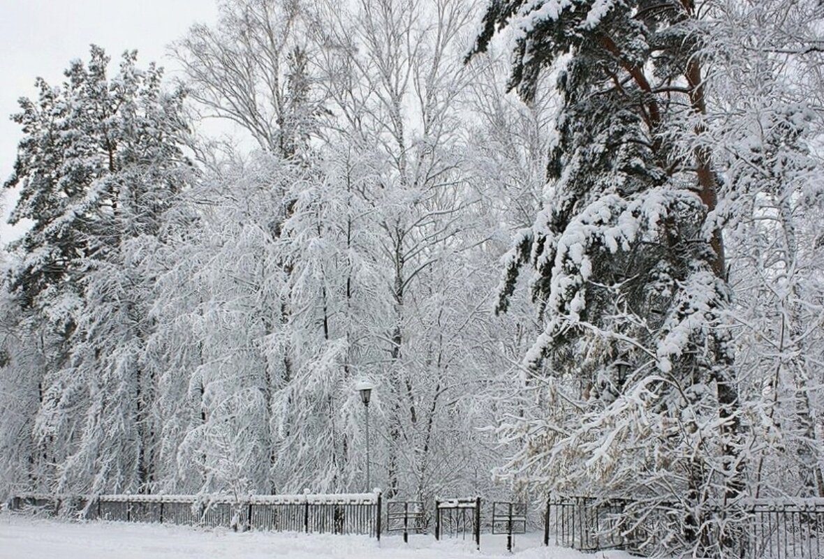 Метель - Галина Нестратова