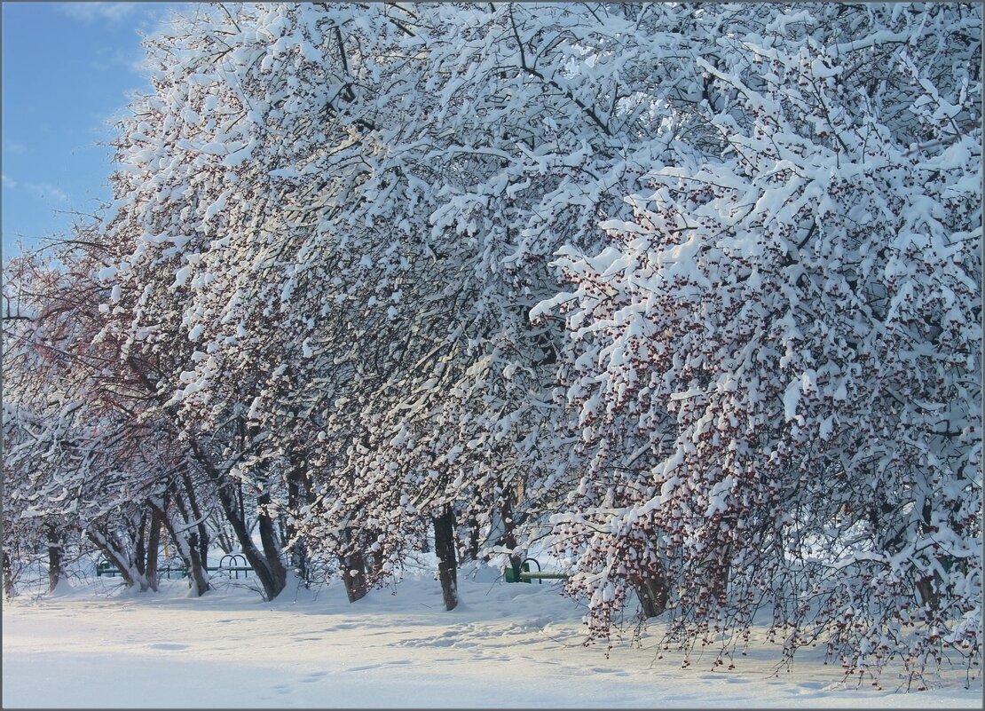 Зимняя красота ... - Валентина Надсон
