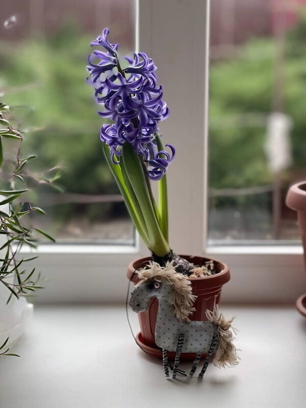 С годом лошадки - Лена -