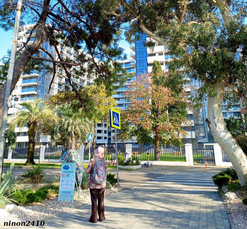 Адлер... ноябрь... - Нина Бутко