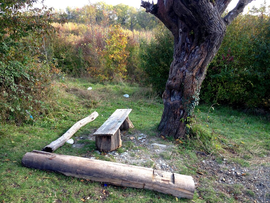 Поляна по дороге на Орлиные скалы - Tata Wolf