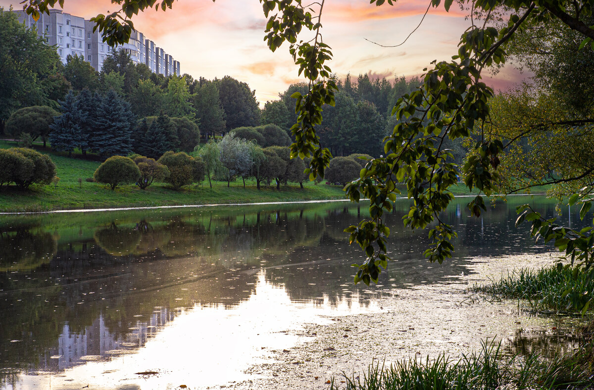 Вечерние небо. - Lucy Schneider 