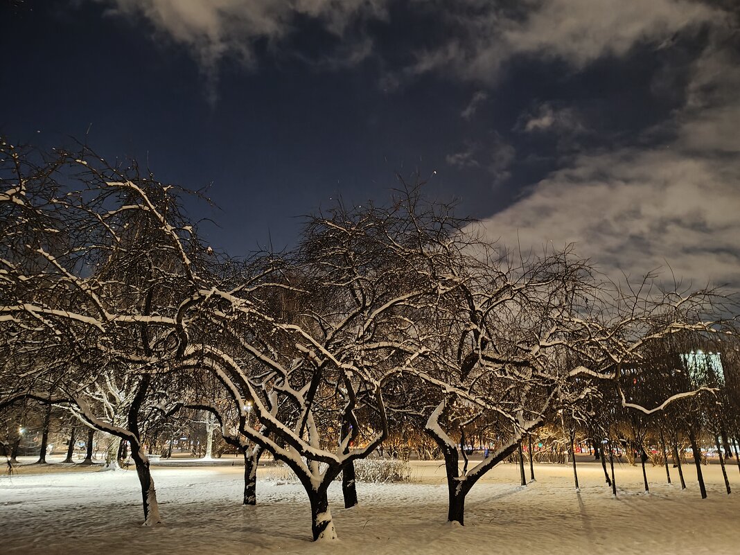 Зима - Андрей 
