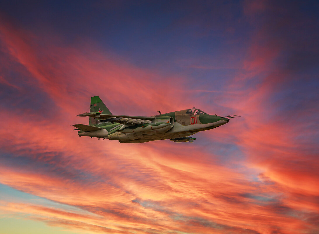 Грачи прилетели - Vladimir 