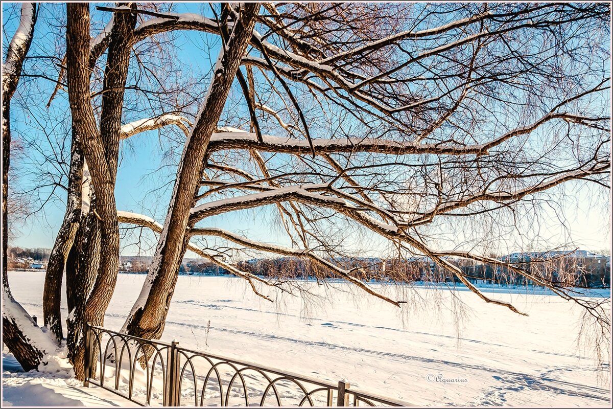 Морозный денёк... - Aquarius - Сергей