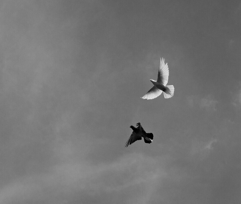 Лето. Деревня. Голубки. - Надежда 