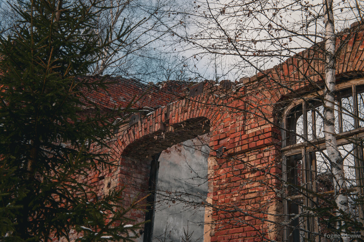 без названия - fogmeadowww m