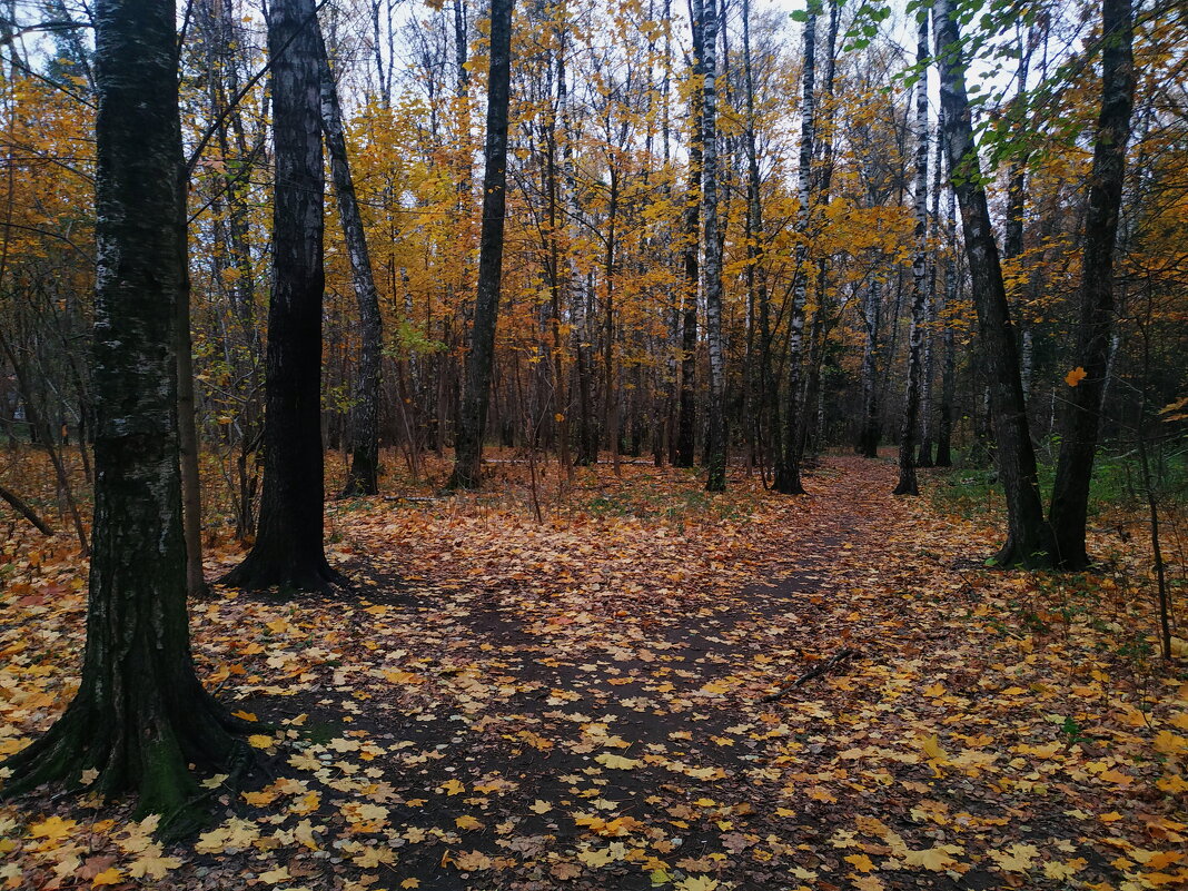 И снова воспоминания - Андрей Лукьянов