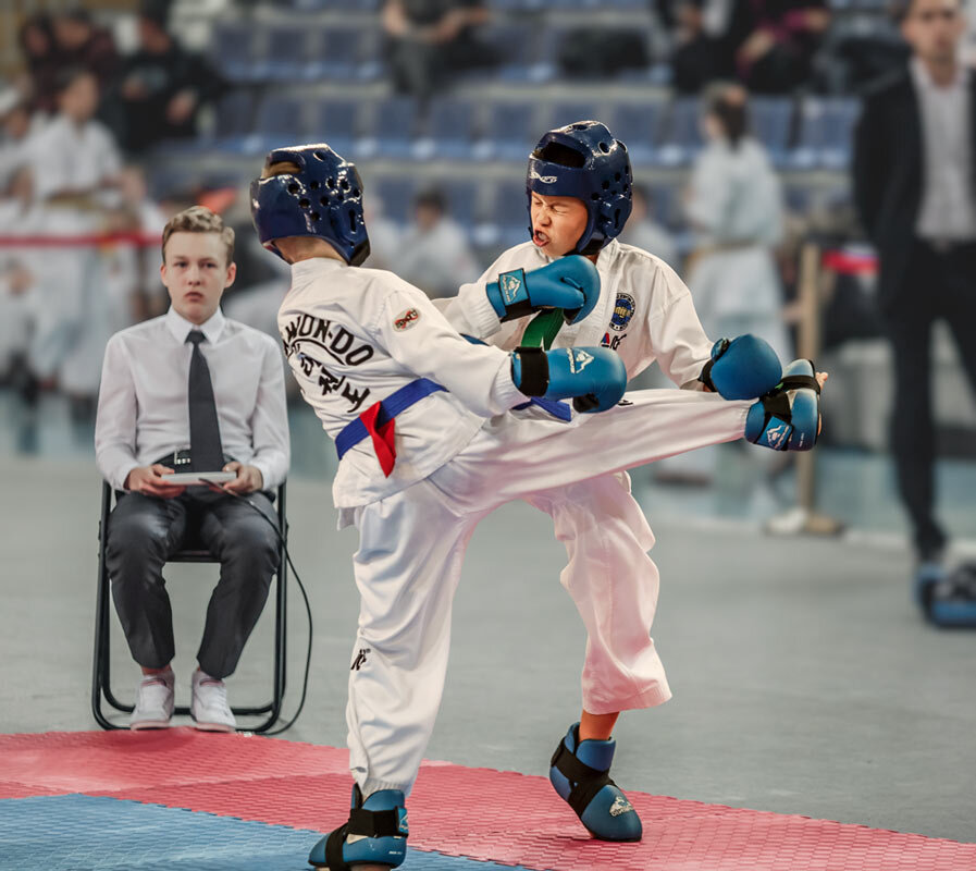 Тэквондо - SanSan 