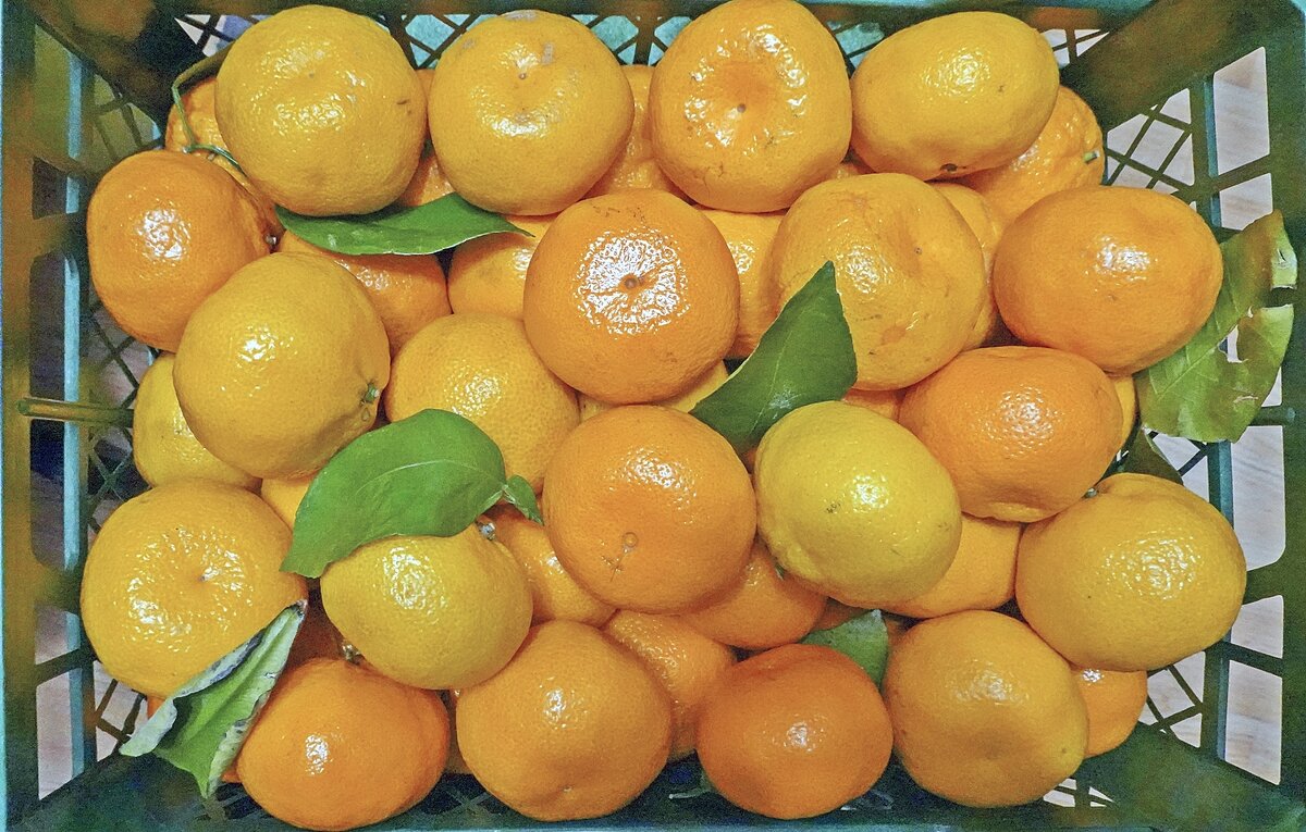 А вы запаслись мандаринами? - Валерий Иванович