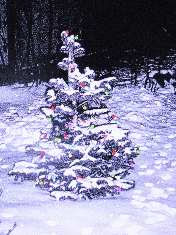 Ёлочка в саду - Людмила Смородинская