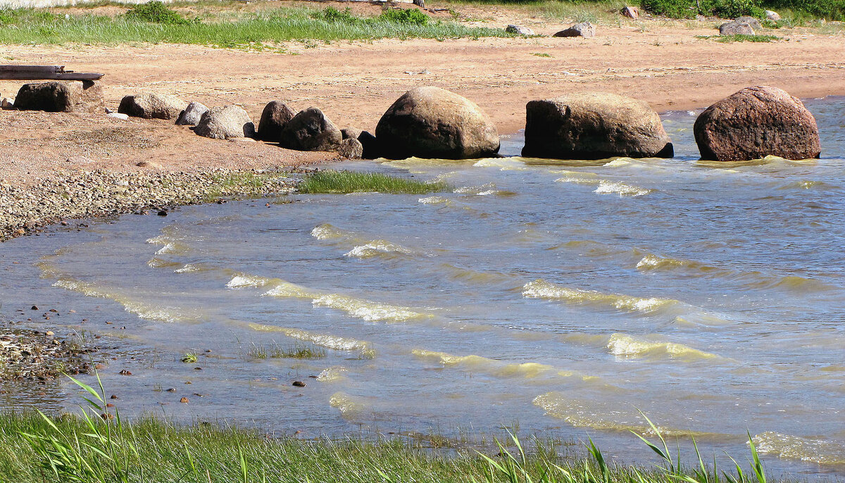 Камушки - Александр Ильчевский 
