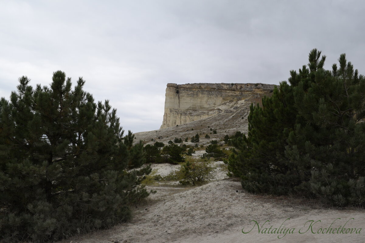 Природа Крыма - Amazing Cosmea