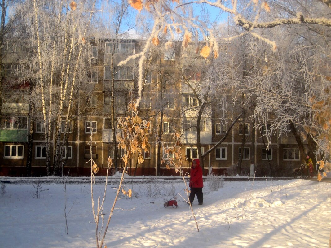 Зимним днем - Елена Семигина