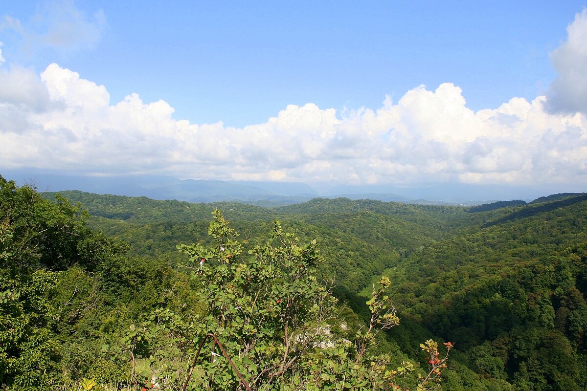 По дороге на Орлиные скалы - Tata Wolf