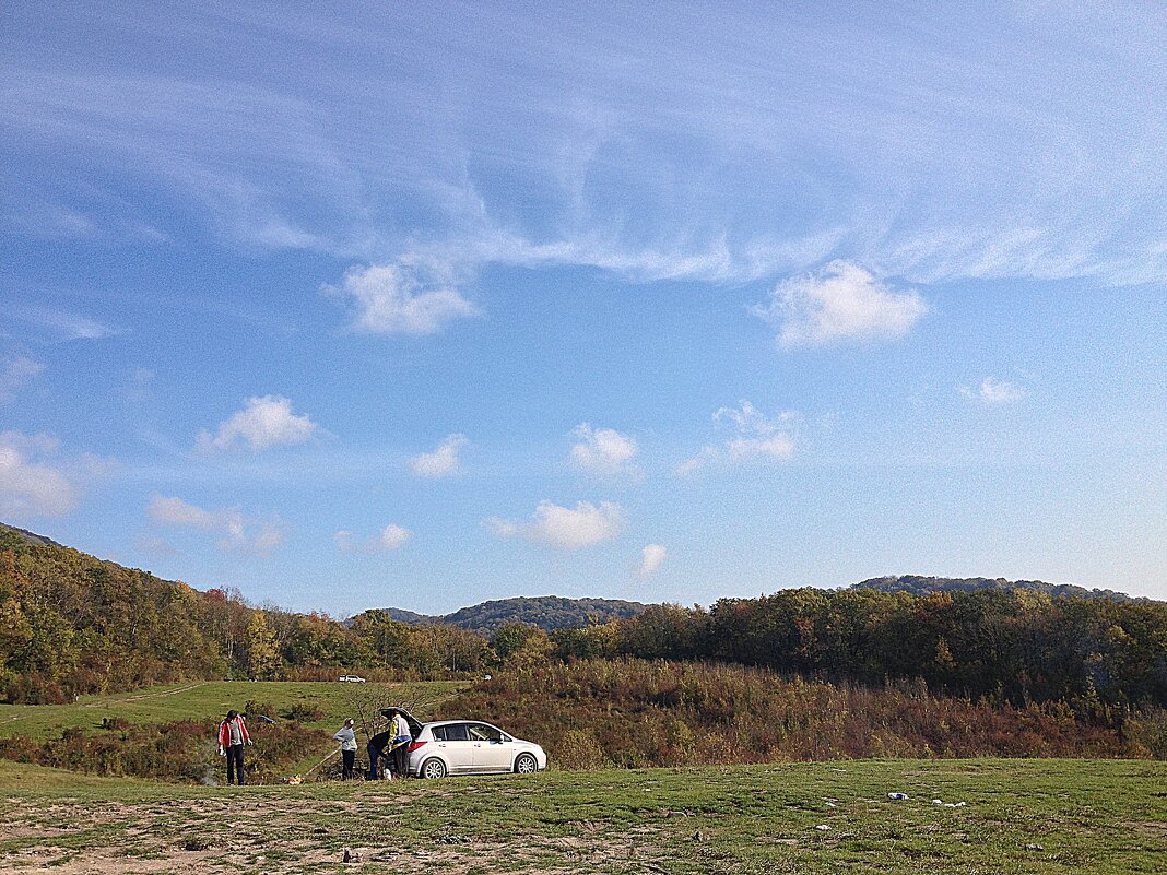 Поляна по дороге на Орлиные скалы - Tata Wolf